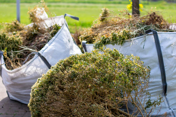 Best Demolition Debris Removal  in Holladay, UT